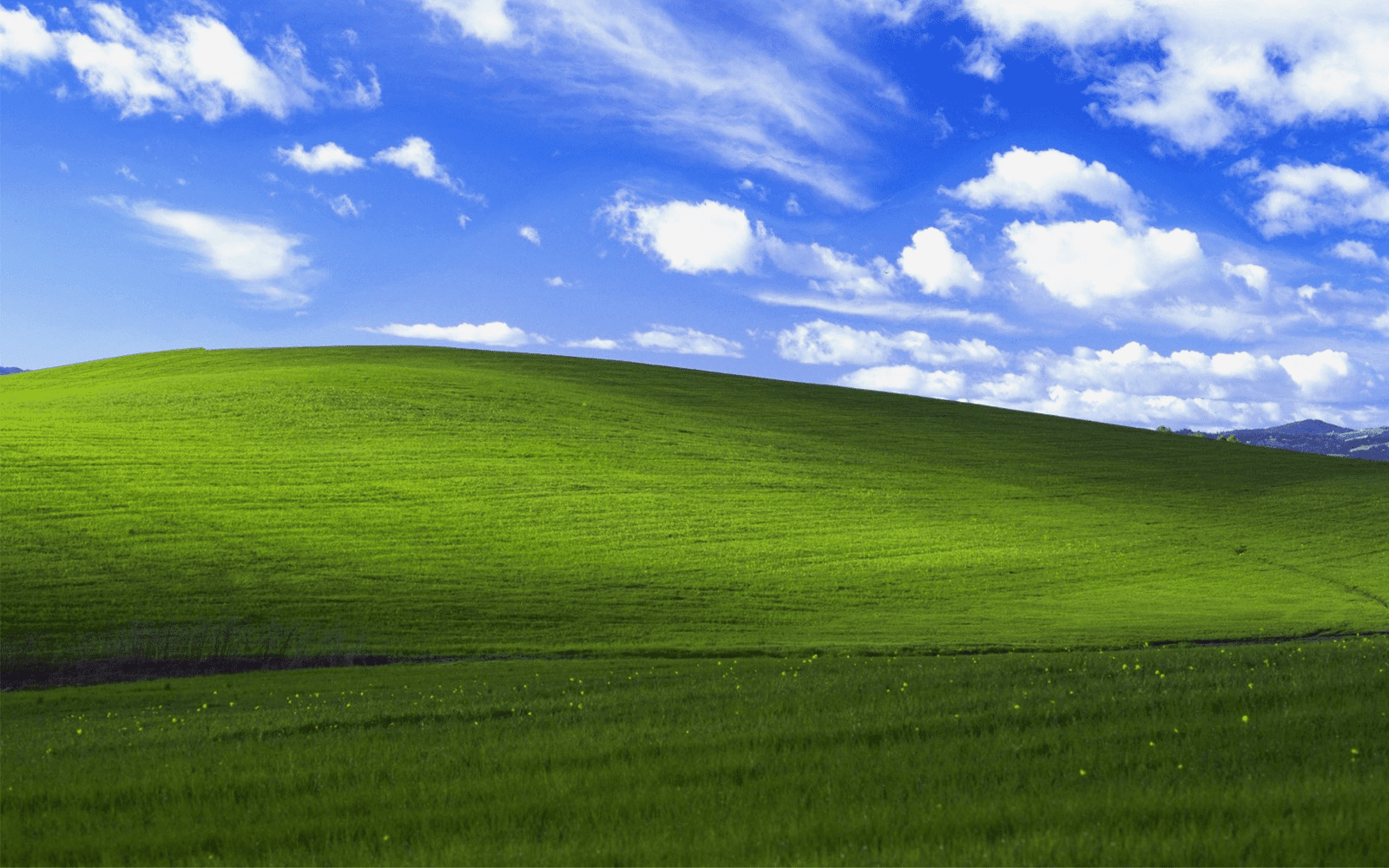 Windows XP के हरे रंग के घास वाले बैकग्राउंड की मशहूर इमेज.