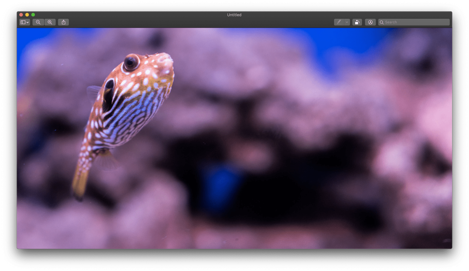 macOS Preview ऐप्लिकेशन में, बिना टाइटल वाली और अभी-अभी चिपकाई गई इमेज.